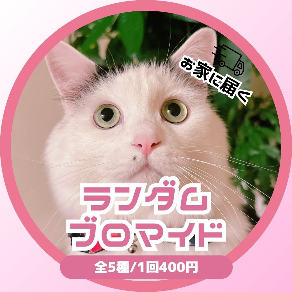 くろまる ブロマイドガチャ